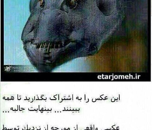 عکس خدای واقعی از نزدیک
