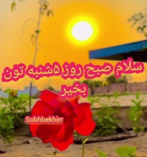 عکس صبح بخیر برای گروه خانوادگی