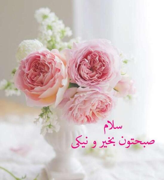 عکس صبح بخیر برای گروه خانوادگی