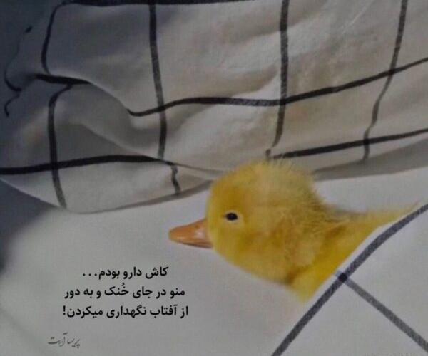 عکس جوک خنده دار کوتاه