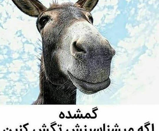 عکس چیستان خنده دار با جواب