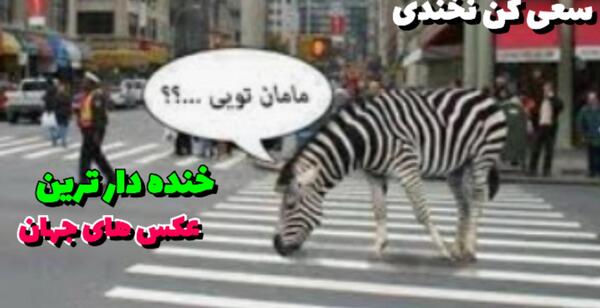 عکس های خنده خنده دار
