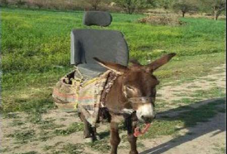 عکس خنده روستایی