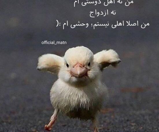 عکس عروس خنده دار جدید