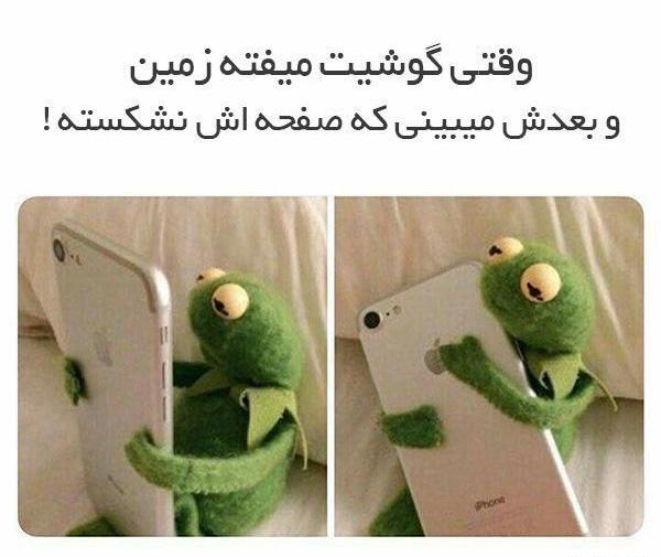 عکس های قورباغه خنده دار
