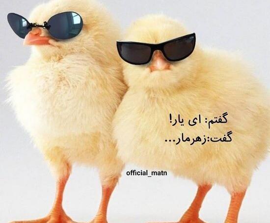 دانلود عکس فانتزی خنده دار