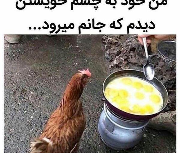 عکس فیلم خنده دار جدید