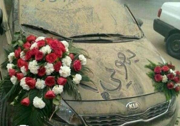 عکس گل های خنده دار