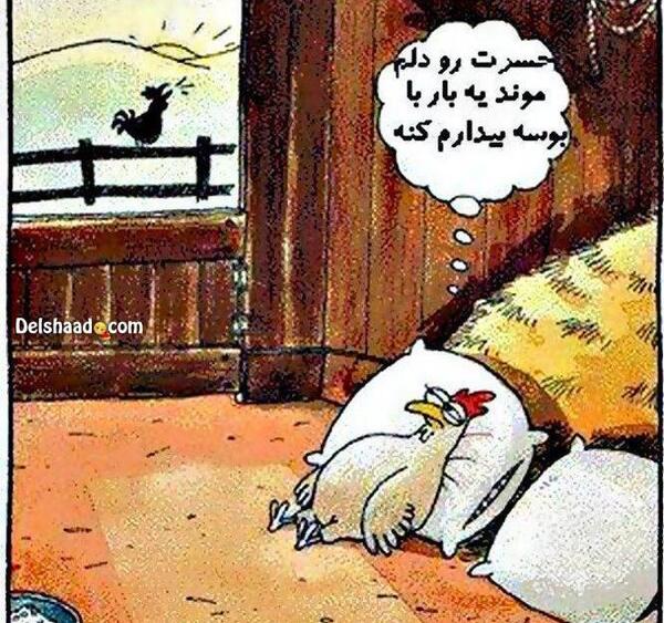 عکس متحرک خنده دار و دیدنی