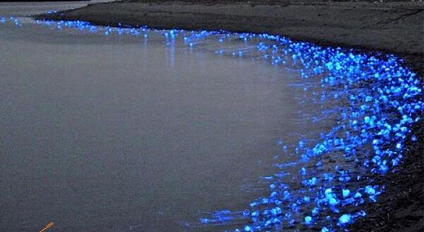 عکس دریا در شب طبیعی