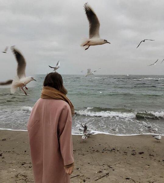 عکس دریا شمال فیک