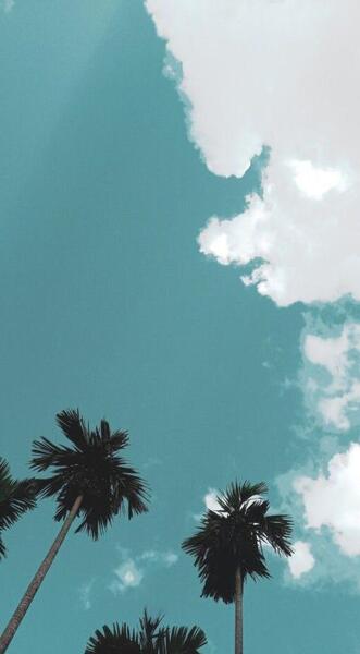 عکس پس زمینه دریا آیفون