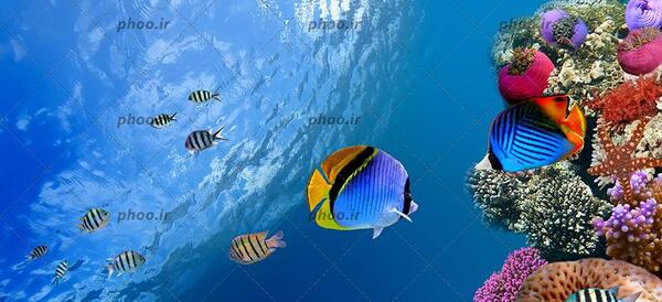 عکس آب دریا زیبا