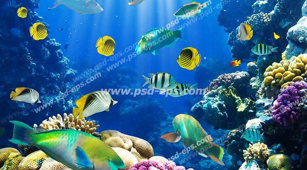 عکس آب دریا زیبا