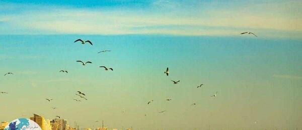 عکس کنار دریا بندرعباس