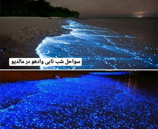 عکس های دریا بزرگ چابهار