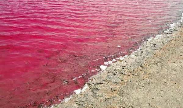 عکس دریاچه صورتی چابهار