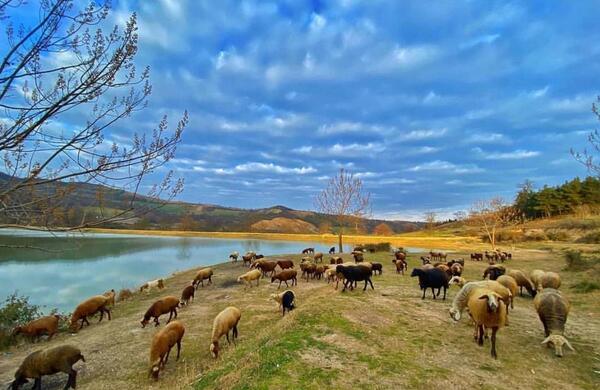عکس دریاچه صورتی گرگان