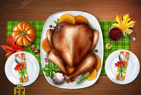 عکس غذا مرغ کارتونی