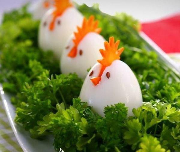 عکس غذا مرغ کارتونی