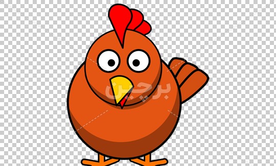 عکس غذا مرغ کارتونی