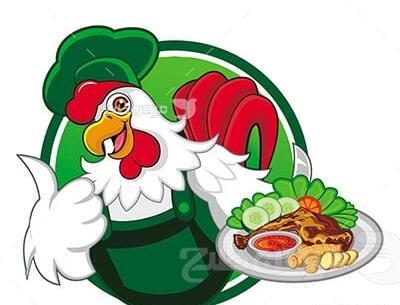 عکس غذا مرغ کارتونی