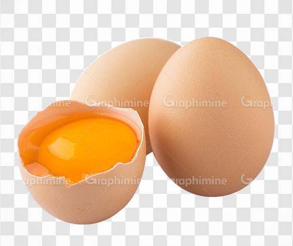 عکس غذا مرغ کارتونی