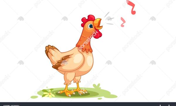 عکس غذا مرغ کارتونی