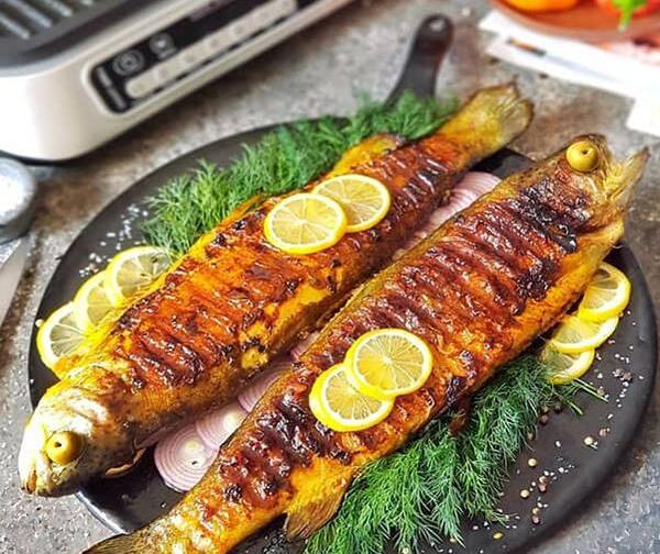 عکس غذای ماهی