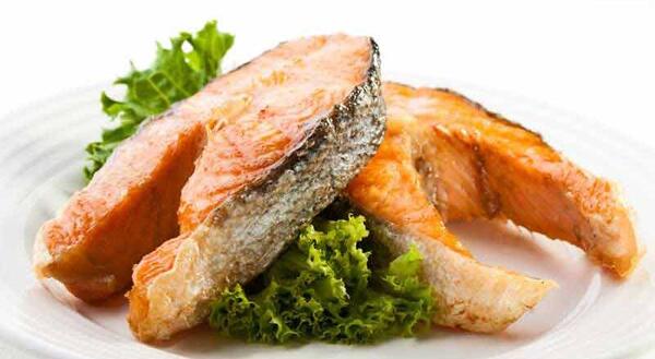 عکس غذای ماهی