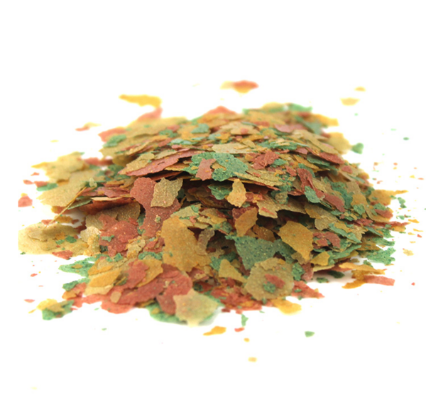 عکس غذای ماهی