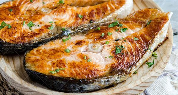عکس غذای ماهی