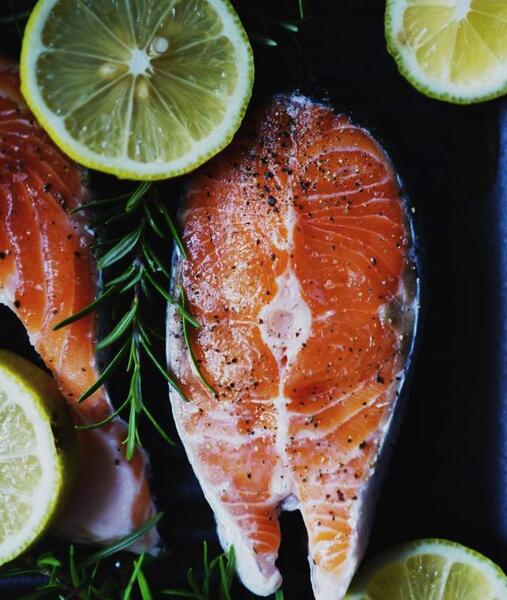عکس غذای ماهی
