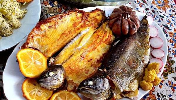 عکس غذای ماهی