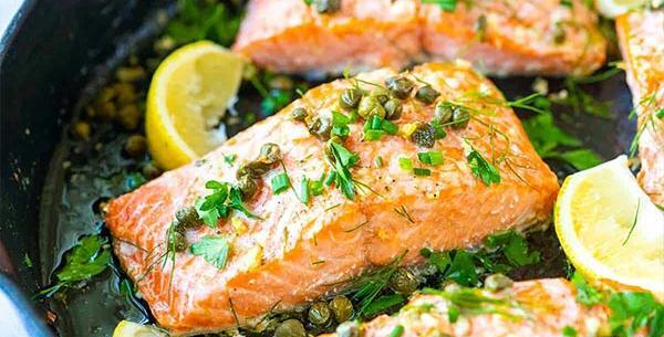عکس غذای ماهی