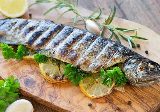 عکس غذای ماهی