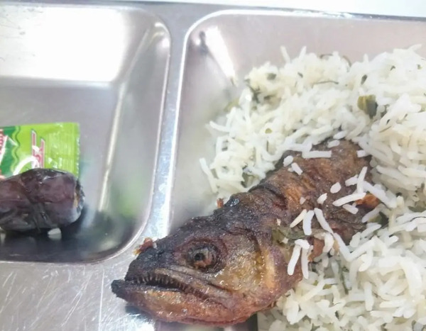 عکس غذای ماهی
