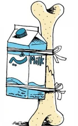 عکس غذای سالم و ناسالم نقاشی