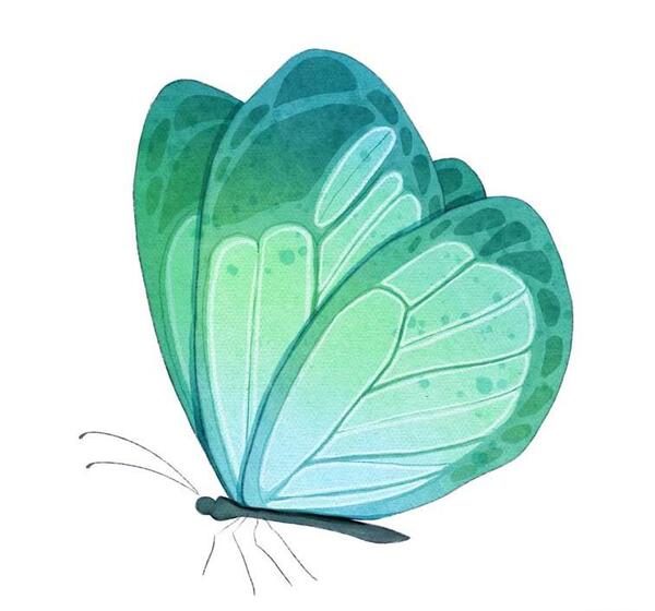 عکس پروانه فانتزی آبی