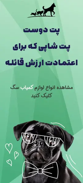 ایده عکس تولد سگ