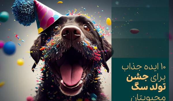 ایده عکس تولد سگ