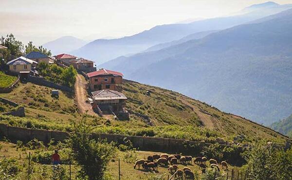 عکس فیلبند در مازندران