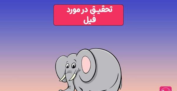 عکس غذای فیل ها