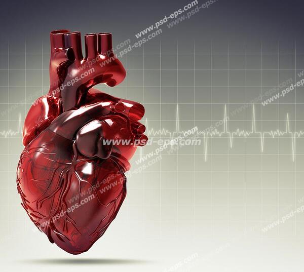 عکس قلب انسان سیگاری واقعی