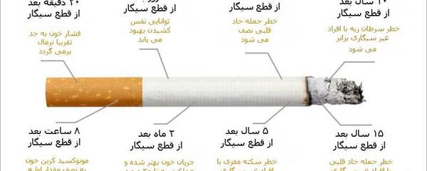 عکس قلب انسان سیگاری واقعی