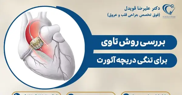 عکس قلب انسان سیگاری واقعی