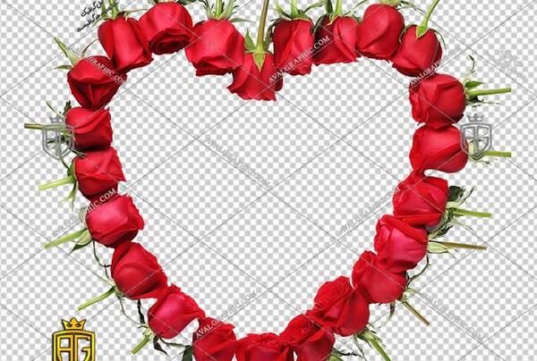 عکس قلب اکلیلی زیبا