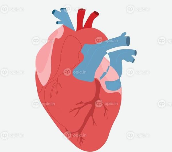 عکس قلب آدمی