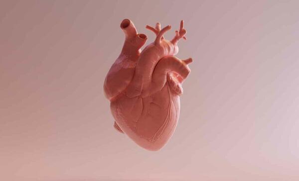 عکس قلب بزرگ شده