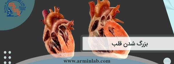 عکس قلب بزرگ شده